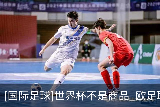 [国际足球]世界杯不是商品 欧足联向国际足联提案说不